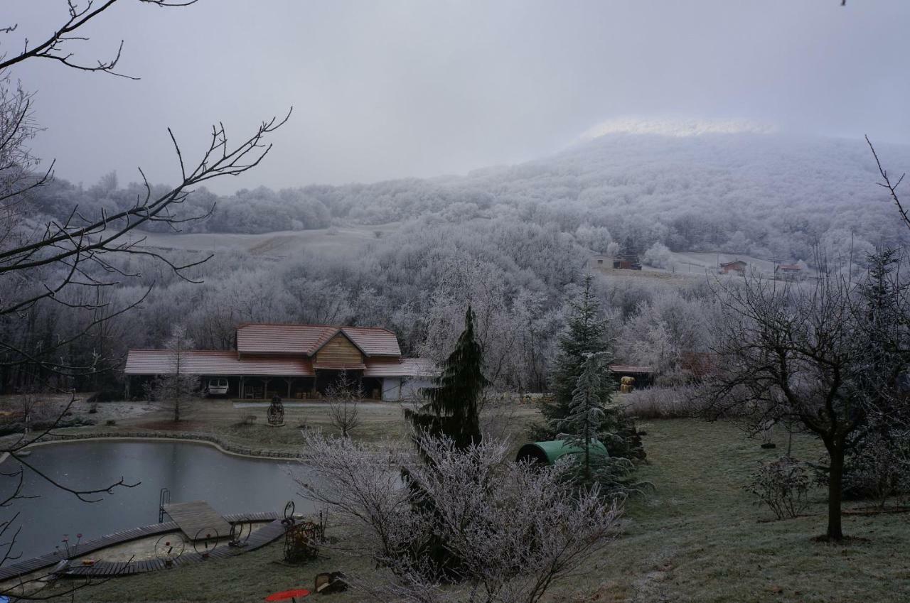 Country House With A Pool In Medvednica Nature Park Zagreb Bagian luar foto